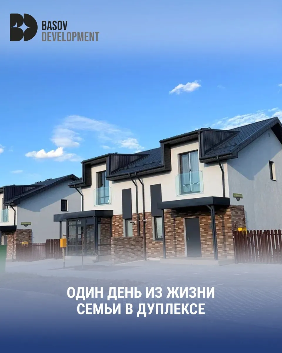 Basov Development: Темы, которые снимают сомнения