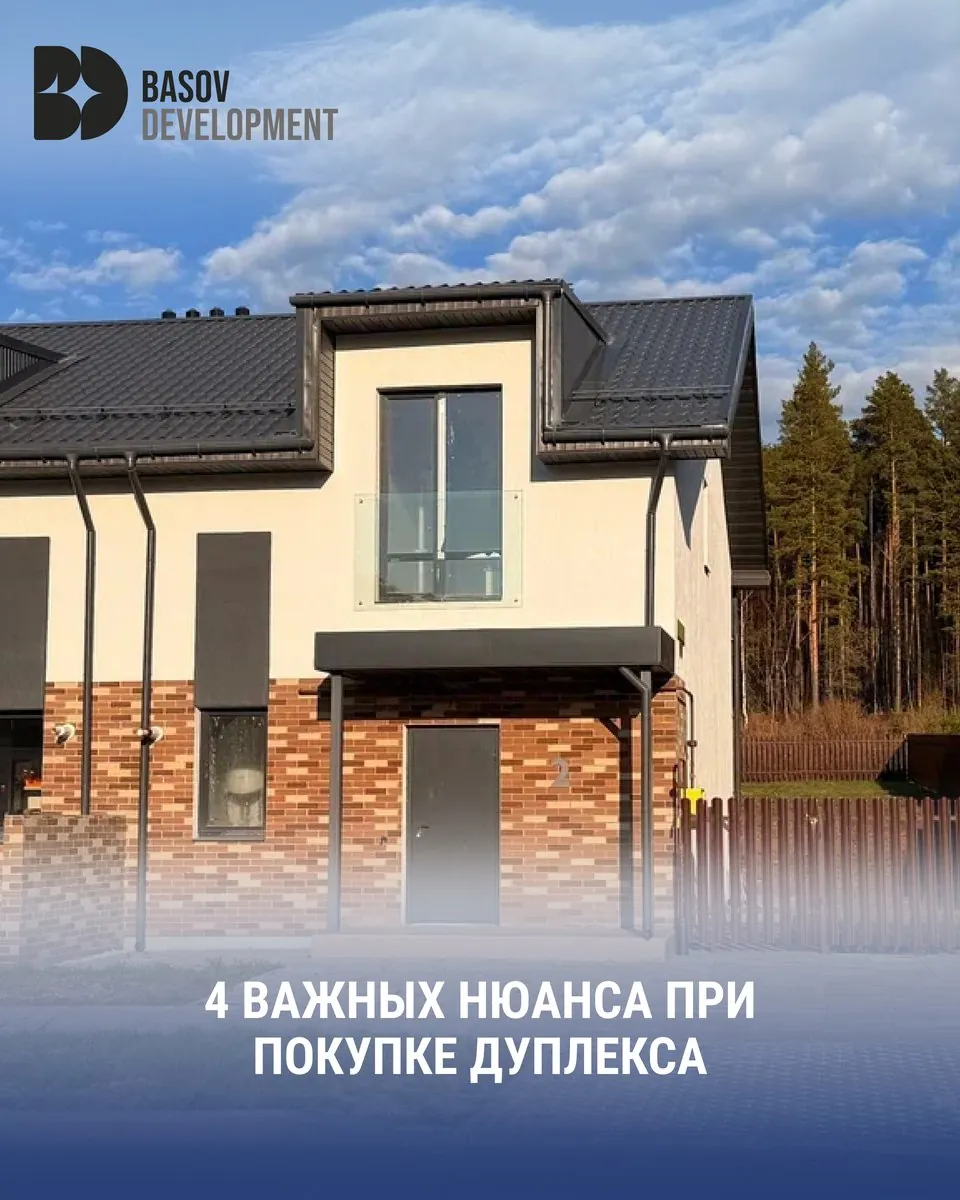 Basov Development: Темы, которые снимают сомнения