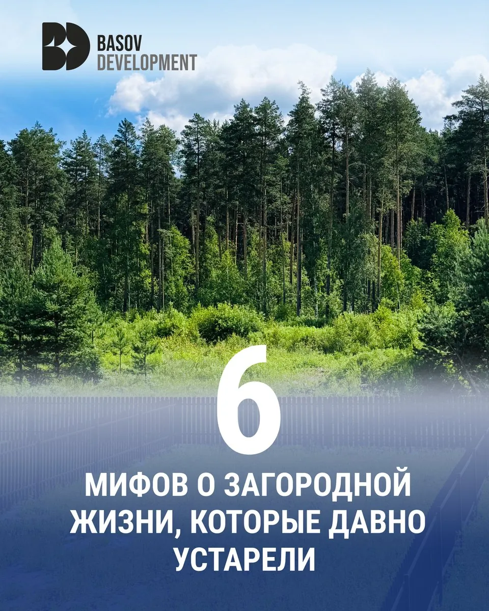 Basov Development: Узнаваемая система