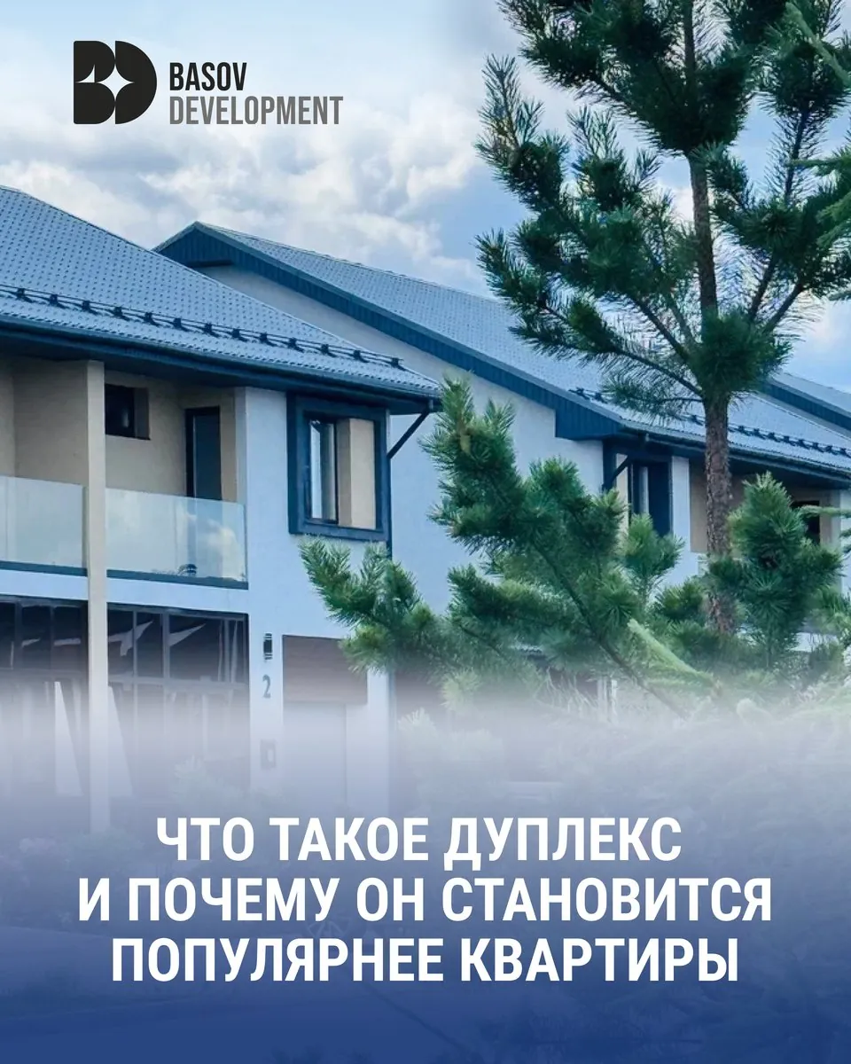 Basov Development: Узнаваемая система