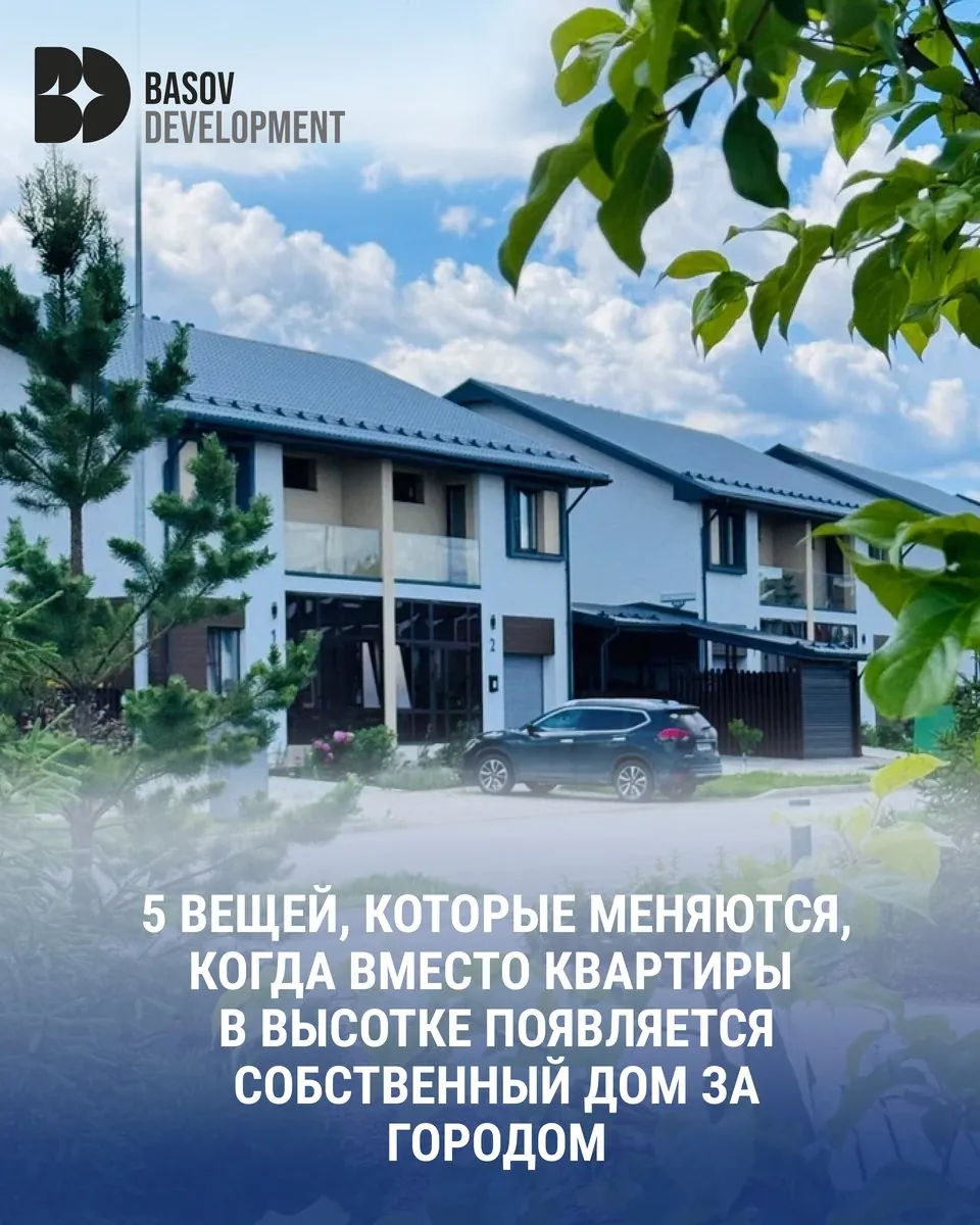 Basov Development: Темы, которые снимают сомнения