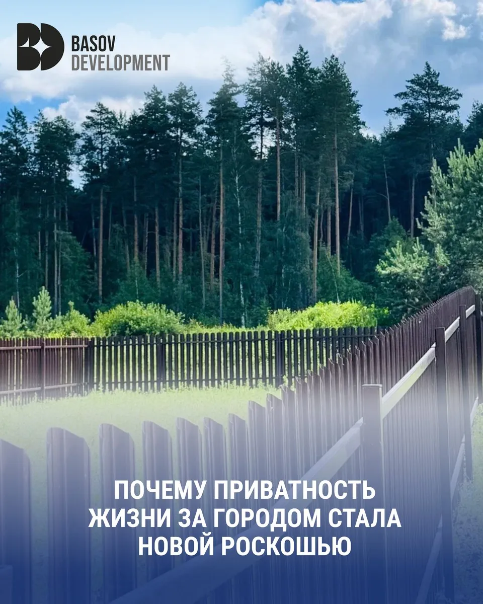 Basov Development: Темы, которые снимают сомнения