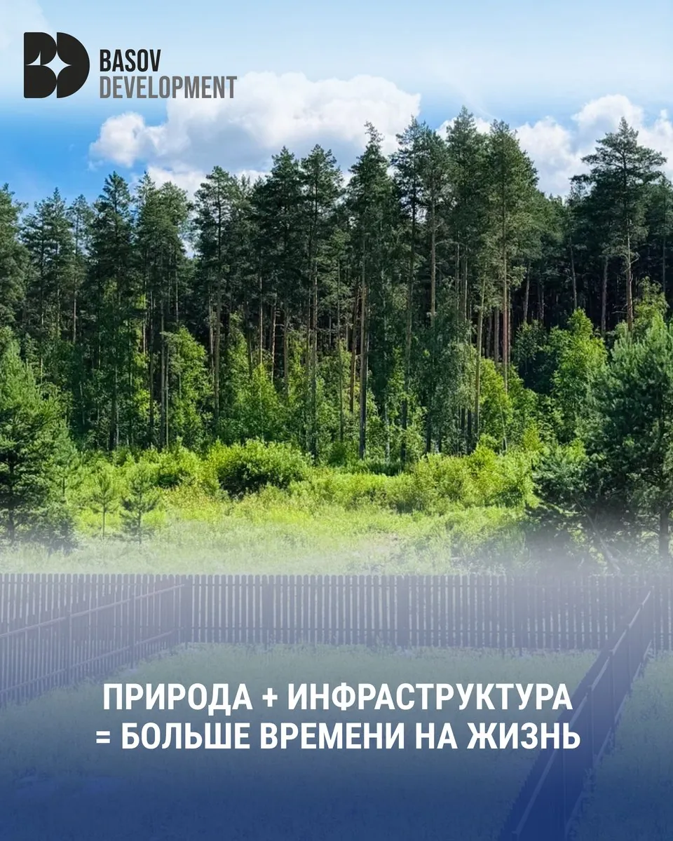 Basov Development: Темы, которые снимают сомнения