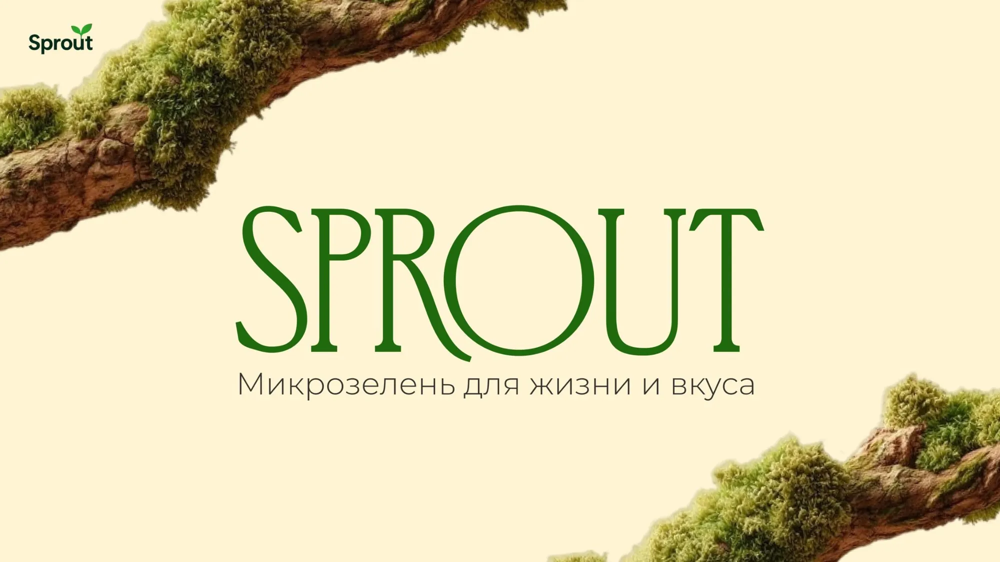 Обложка презентации Sprout