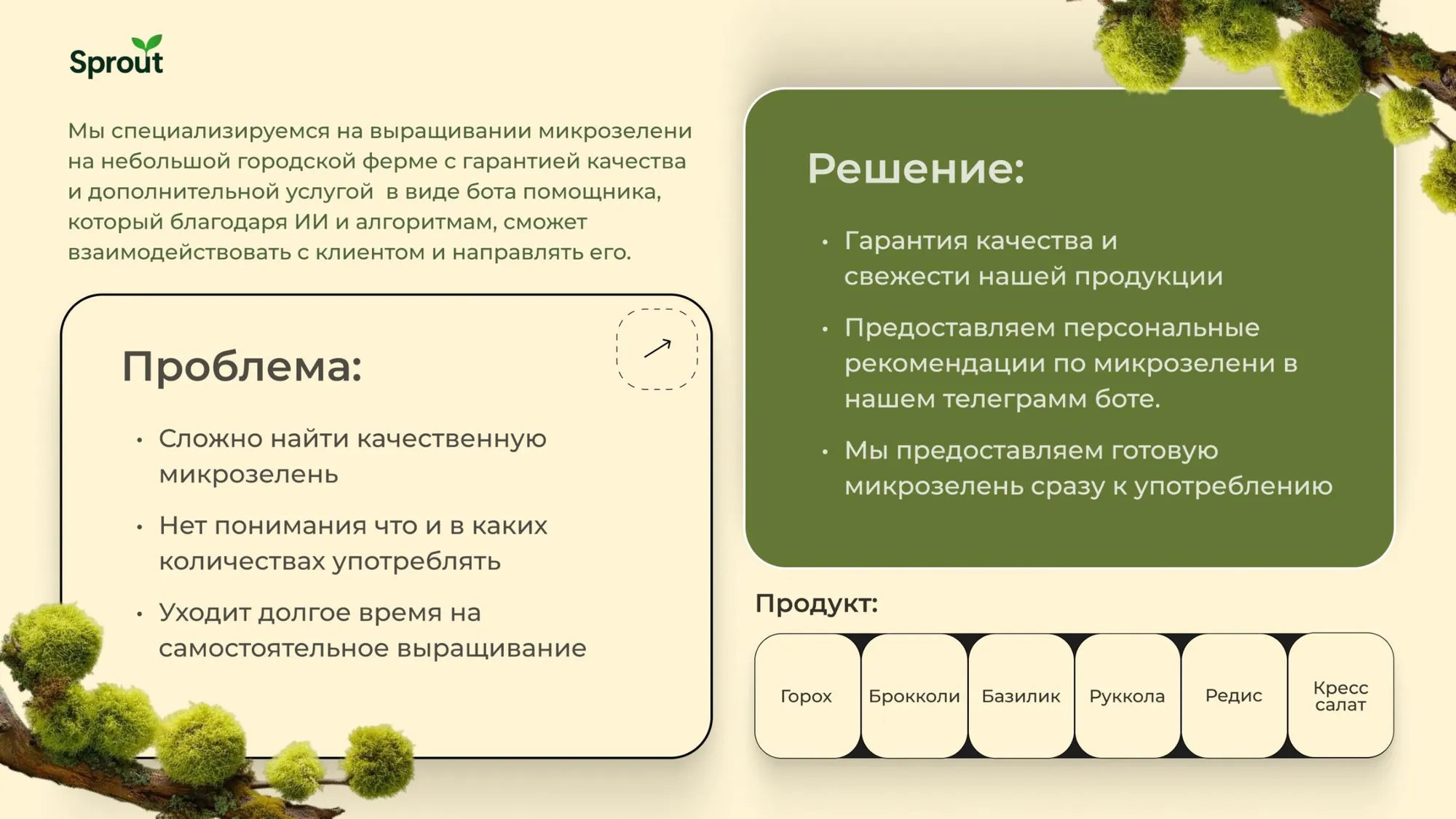 Проблема и решение