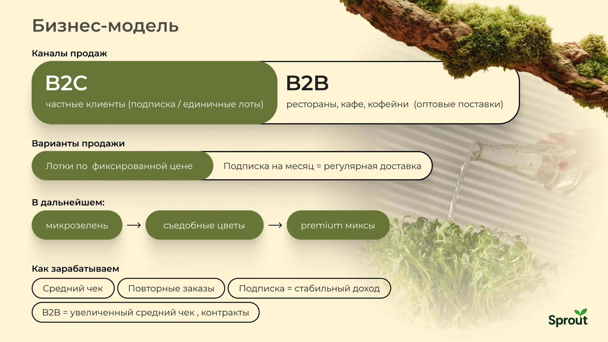 Бизнес-модель